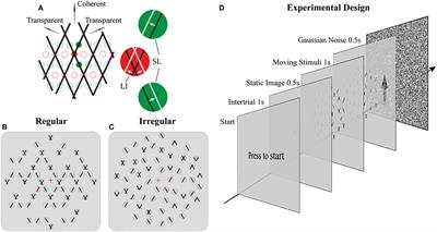 Scene Regularity Interacts With Individual Biases to Modulate Perceptual Stability